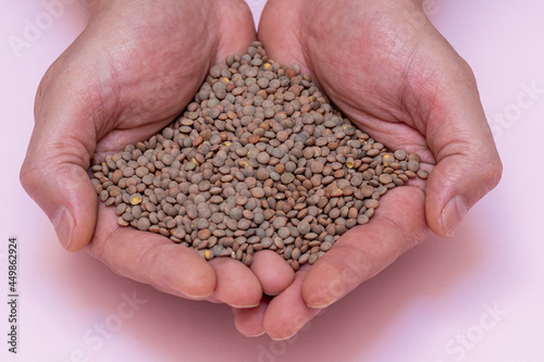 Hands of a person with a handful of legumes, lentils on a pink background. vegetarian and vegan food. concept caring for food and healthy lifestyle