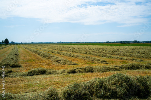 Panoramic landscape with drying hay 