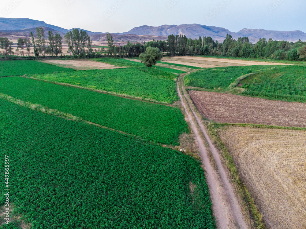 drone footage of green fields