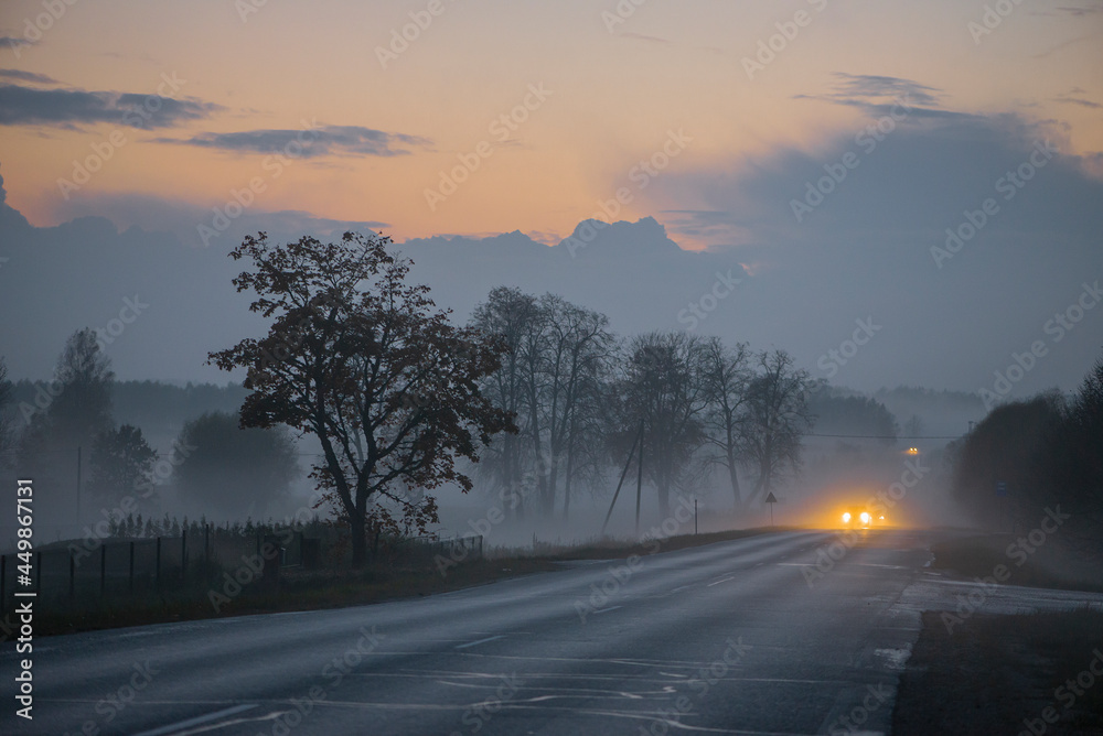 Asphalt road and trees in the fog after warm summer rain, Latvian rural landscape