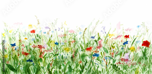 Seamless wildflowers lawn border or frame. Bloomy flowering meadow. Multicolor wild flowers. Hand drawing watercolor summer floral green field or glade illustration. Hand painting pattern background © larisa_zorina