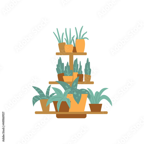 Set of house green plants in pots selling in flower shops for decoration interior