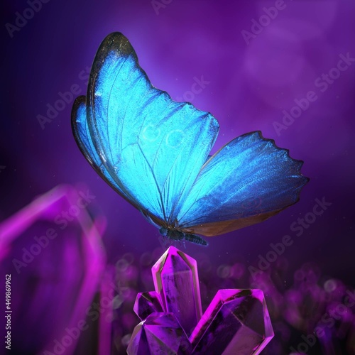 butterfly Effect, spring