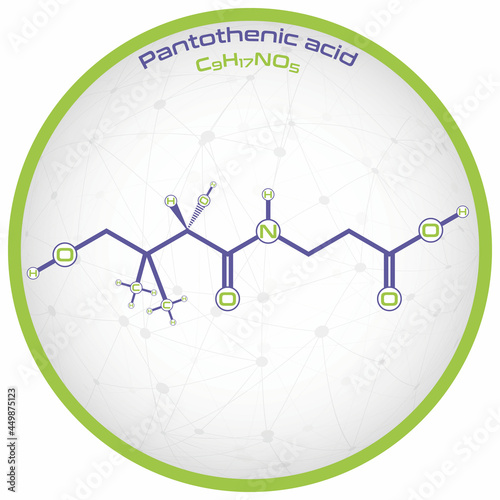 Large and detailed infographic of the molecule of Pantothenic acid