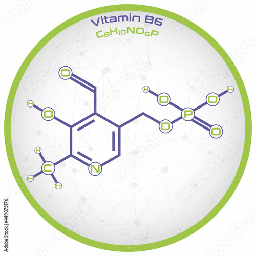 Large and detailed infographic of the molecule of Vitamin B6