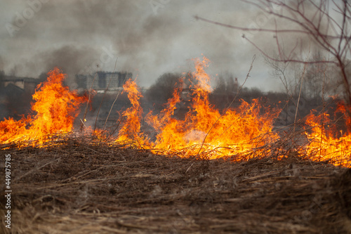Dry grass is burning. Fire in the field in spring.