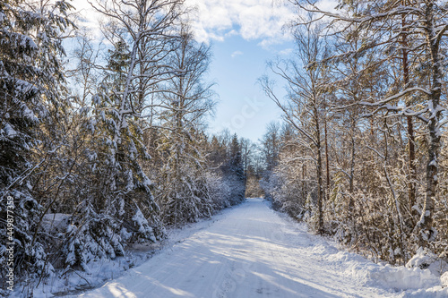 Gorgeous winter nature landscape view. Bend of country road and frosty forest trees. Sweden.