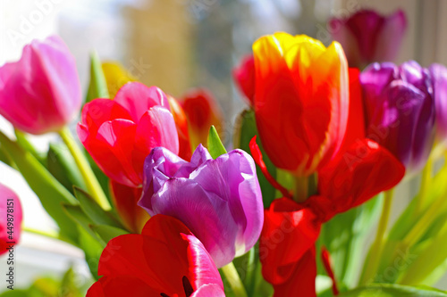 Beautiful bouquet of colorful tulips in a vase.