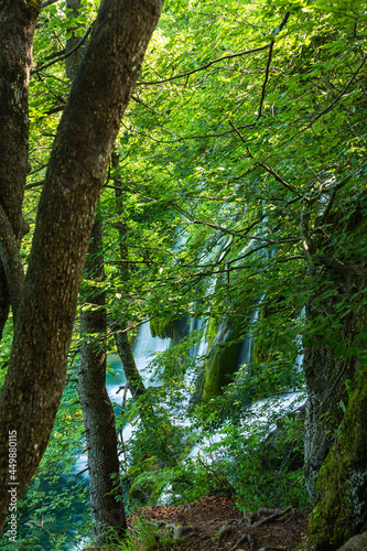 クロアチア プリトヴィツェ湖群国立公園の原生林の中の滝