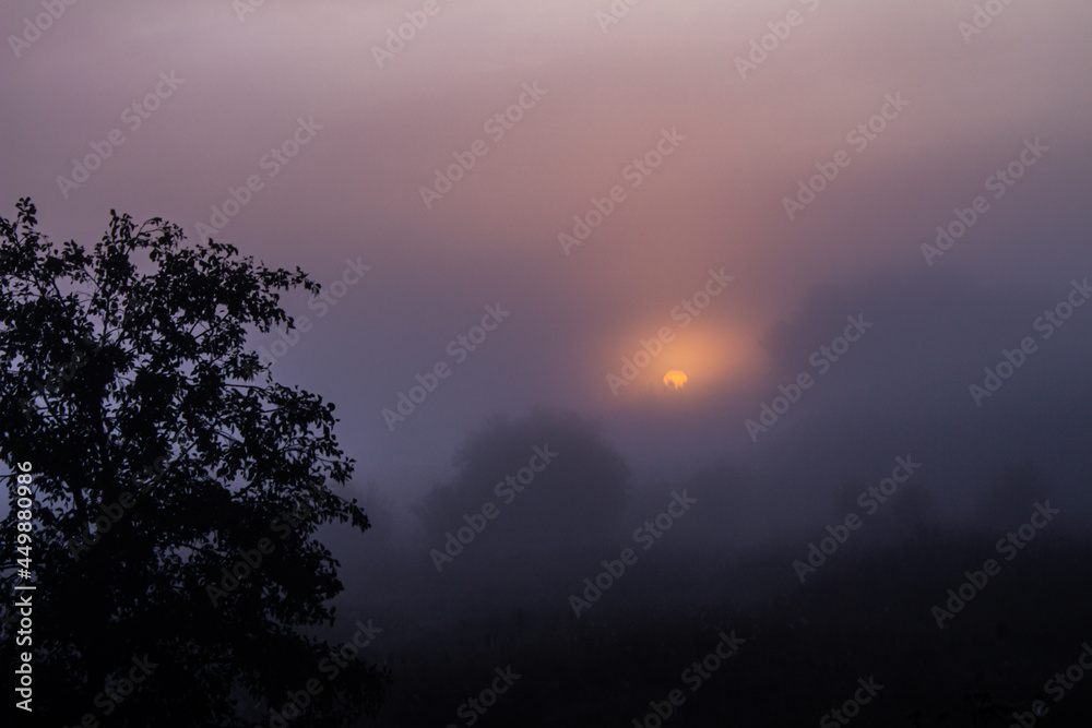 dawn on a foggy morning