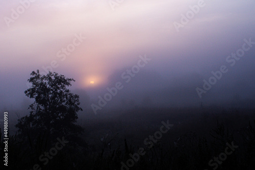 dawn on a foggy morning