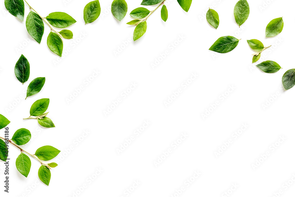 Frame of green leaves and branches on white. Overhead view