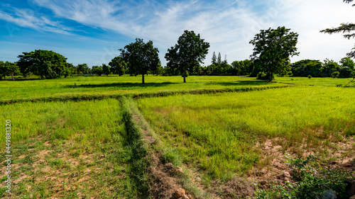Thailand Farmlands 