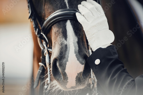 A close-up of the horse's nose and the rider's gloved hand Fototapet