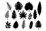 collection of tropical leaves in hand drawn vector illustration