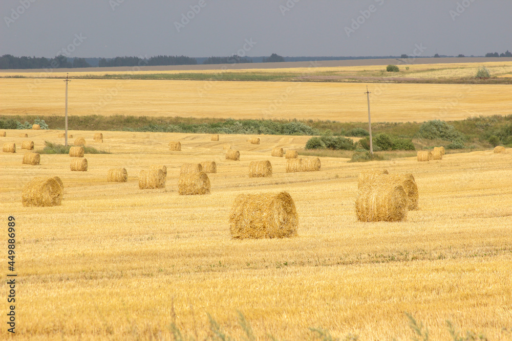 Haystacks in summer field harvesting background. Mid-simmer and autumn rural scene with hay bales and sky. 