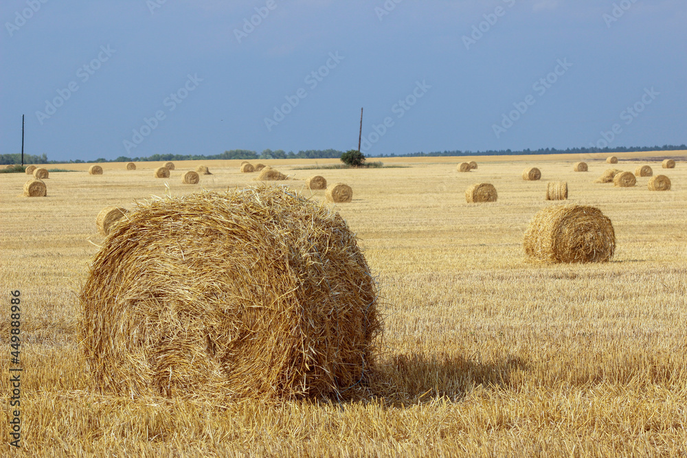 Haystacks in summer field harvesting background. Mid-simmer and autumn rural scene with hay bales and sky. Haystacks in summer field harvesting background. Mid-simmer and autumn rural scene with hay bales and sky.