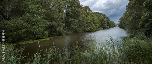 Canal at Forest Kuinre. Kuinderbos. Noordoostpolder Netherlands.  photo