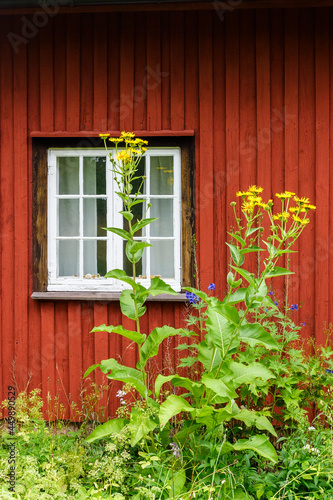 Overgrown garden by a house wall © Lars Johansson