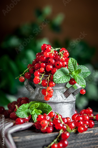 Ripe red currant berries in a bowl. Fresh red currants on dark rustic wooden table. Background with copy space. Selective focus. photo