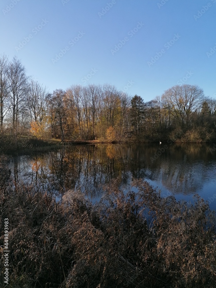 Perfect nature reflections from the trees in the lakes around Jutland in Denmark during autumn