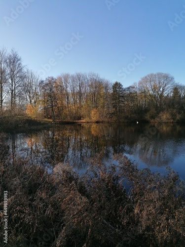 Perfect nature reflections from the trees in the lakes around Jutland in Denmark during autumn