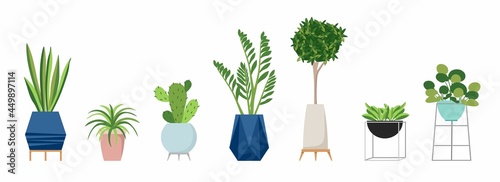 A set of stylish fashionable indoor plants for the house. Isolated on a white background. Dracaena, monstera, boxwood, chlorophytum, spatifilum, ficus benjamin, pineapple, zamiokulkas. Color flat