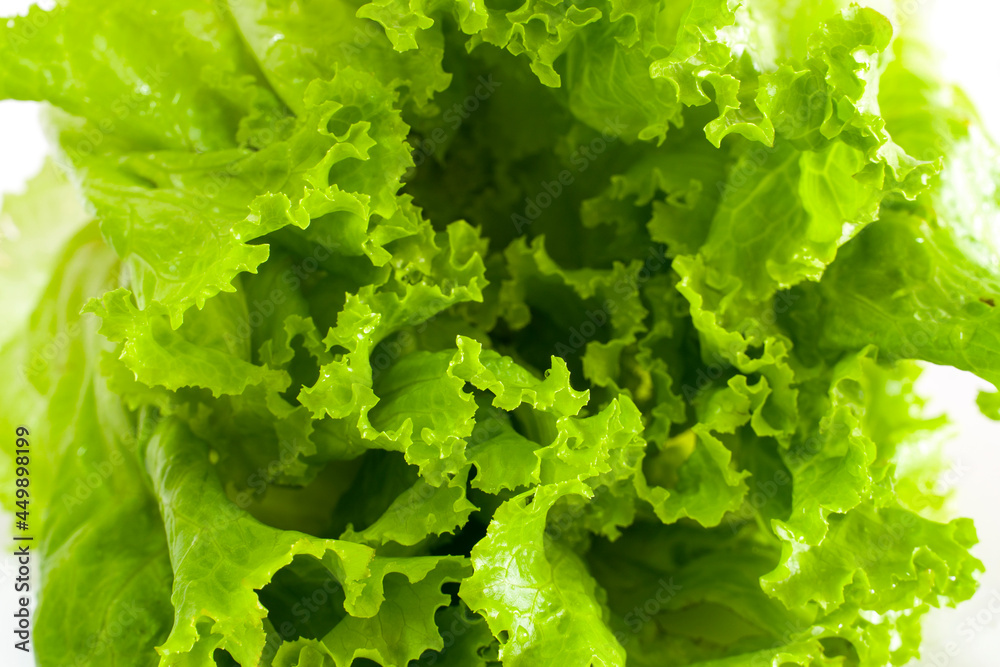 Close-up green salad leaves. Close-up green salad leaves.