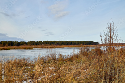 View of the lake water and yellow grass on the shore on an autumn day