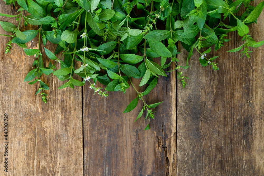 Fresh mint on a wooden background with place for text. Leaves, stems and flowers. A fragrant plant. Aromatherapy and Cooking. Mint for drying and adding to tea. Copy space Fresh mint on a wooden background with place for text. Leaves, stems and flowers. A fragrant plant. Aromatherapy and Cooking. Mint for drying and adding to tea. Copy space
