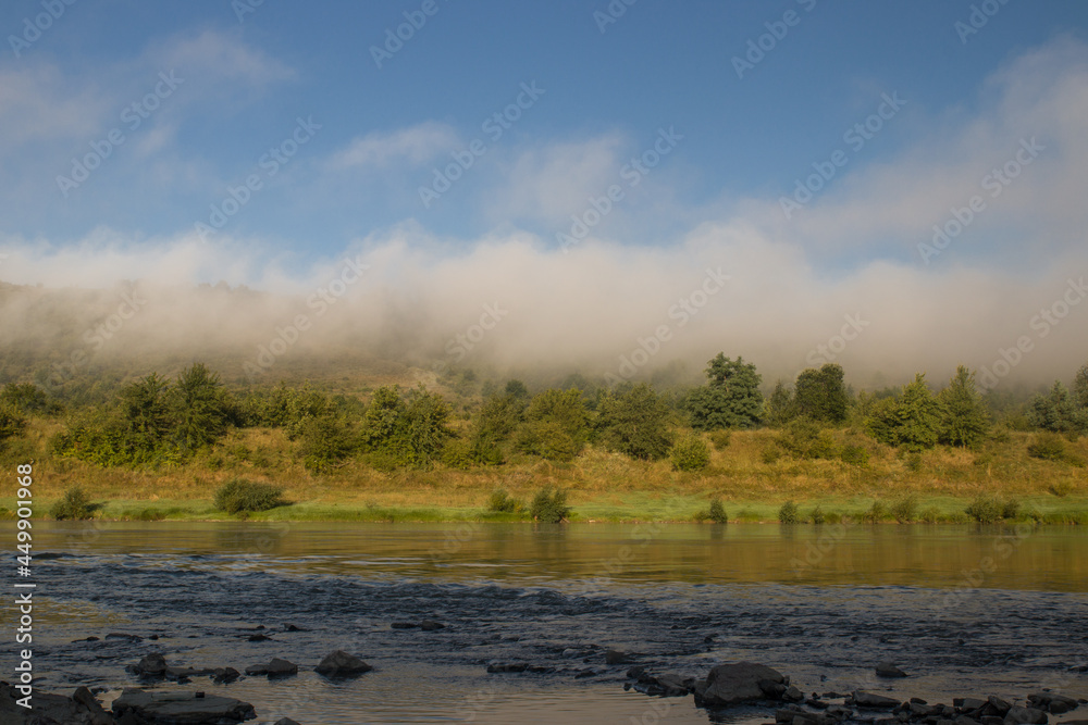 morning and fog on the river bank