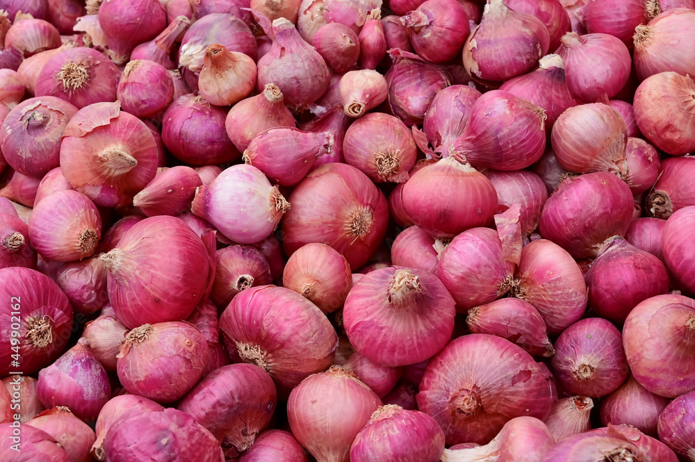 Full Shot Of Red Onions. Fresh red onions as a background. Full Shot Of Red Onions. Fresh red onions as a background.