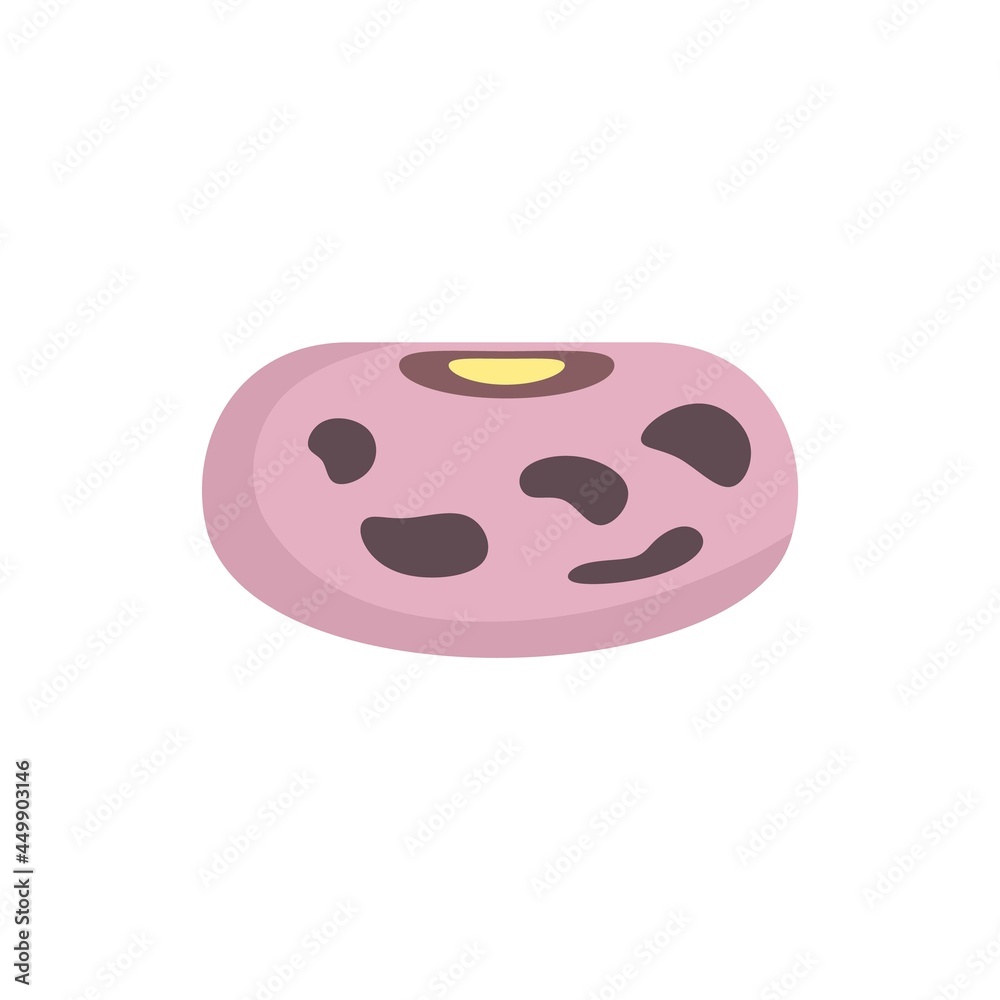 Fototapeta premium Agriculture kidney bean icon flat isolated vector