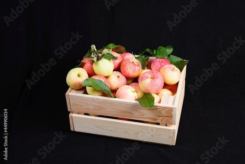 Sweet fragrant apples placed in a vintage box with leaves on a black background