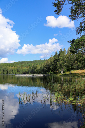 Lake Kramstatj  rn in the forest  J  rvs  