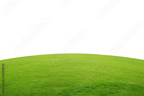 bright green grass lawn isolated on white background and copy space. © Montree