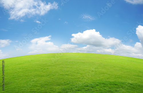 Green grass on hill with blue sky and white clouds background. 