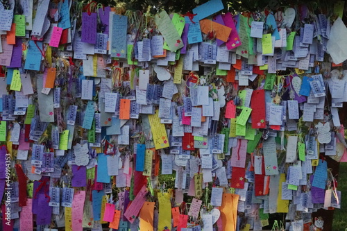 Wall of wishes