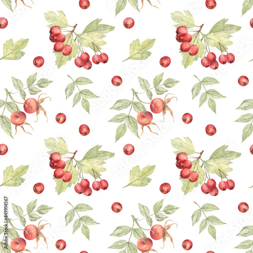 Autumn botanical seamless pattern with hawthorn berries and rose hips. Elements are hand painted with watercolors; white isolate background. For fabric, home decor, wrapping paper.