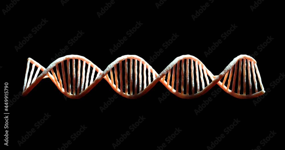 Realistic DNA 3D animation on dark background. Rotating DNA double helix. Science and medicine concepts. Seamless loopable background. Realistic DNA 3D animation on dark background. Rotating DNA double helix. Science and medicine concepts. Seamless loopable background.
