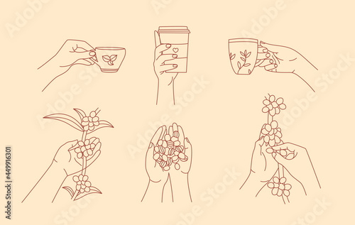 Hand holding coffee mug and picking fresh coffee berries line art elements collection. Growing and harvesting plants isolated outline set. Different cafe signs in contour design.