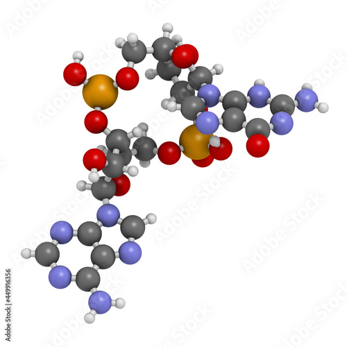 Fotografija Cyclic guanosine monophosphate-adenosine monophosphate (2',3'-
