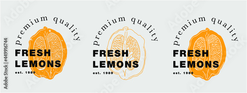 Logo for a farm, organic company or product. Veсtor. Three options on a gray background. you can change the color.