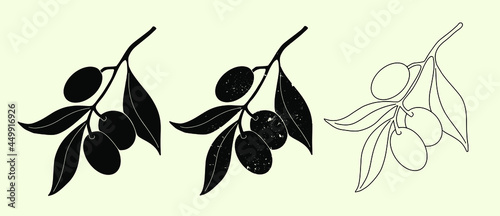 Olive branch drawn with black ink. Vector