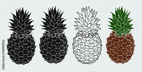 Pineapple drawn with a black line. Vector