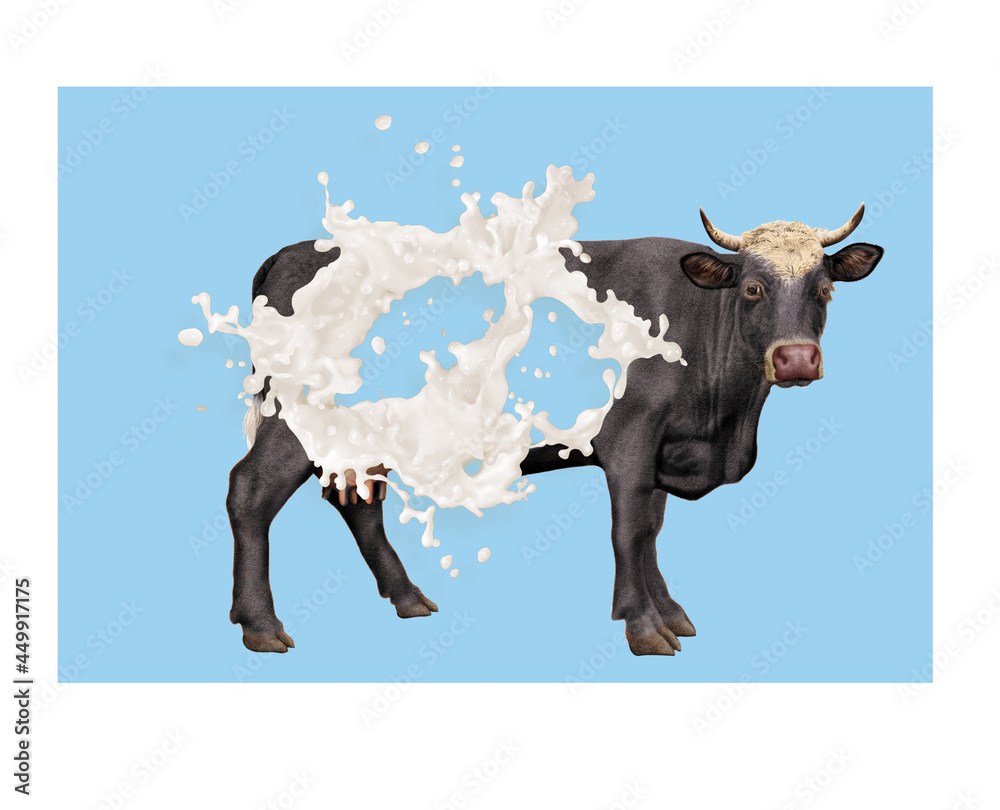 vache laitière, animal, plein de lait, explosion du lait , ventre