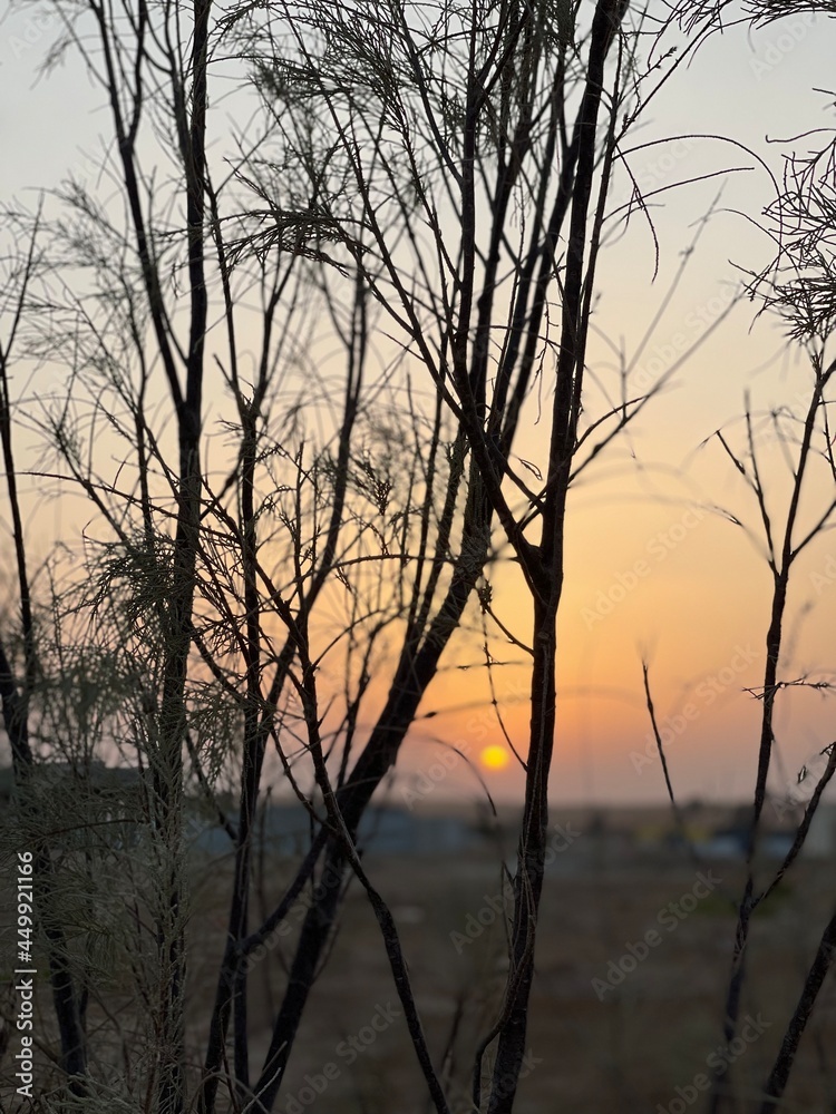 sunset over the river