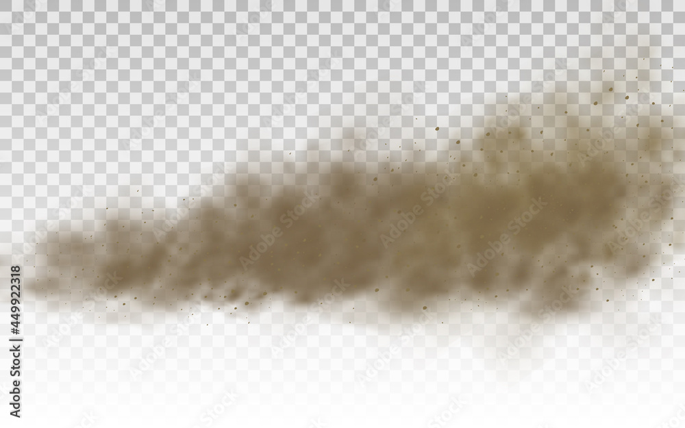 Fototapeta Flying sand, brown dust cloud, wind, sandstorm.
