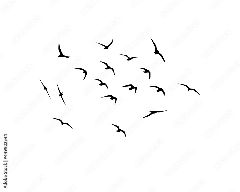 Fototapeta premium Silhouettes of flying birds on a white background. Flight of seagulls. Wallpaper, background design. Vector flock of birds isolated on white background.