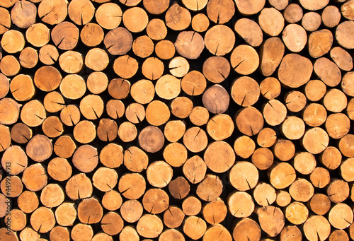 A pile of logs for sawing into boards. The texture of felled logs. Logging. Logs in the lumber warehouse. Felled trees. Stacked logs, biomass. High quality photo
